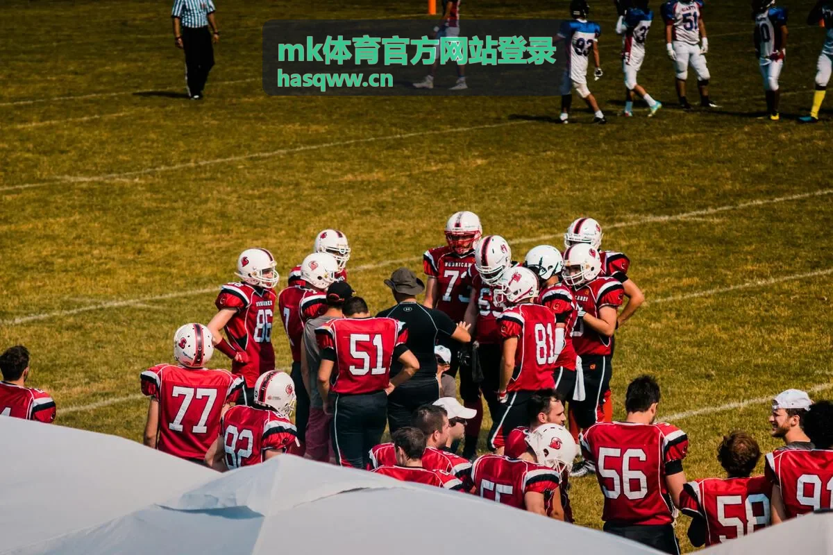 mk体育官方网站登录账号登录前的入口核对与准备